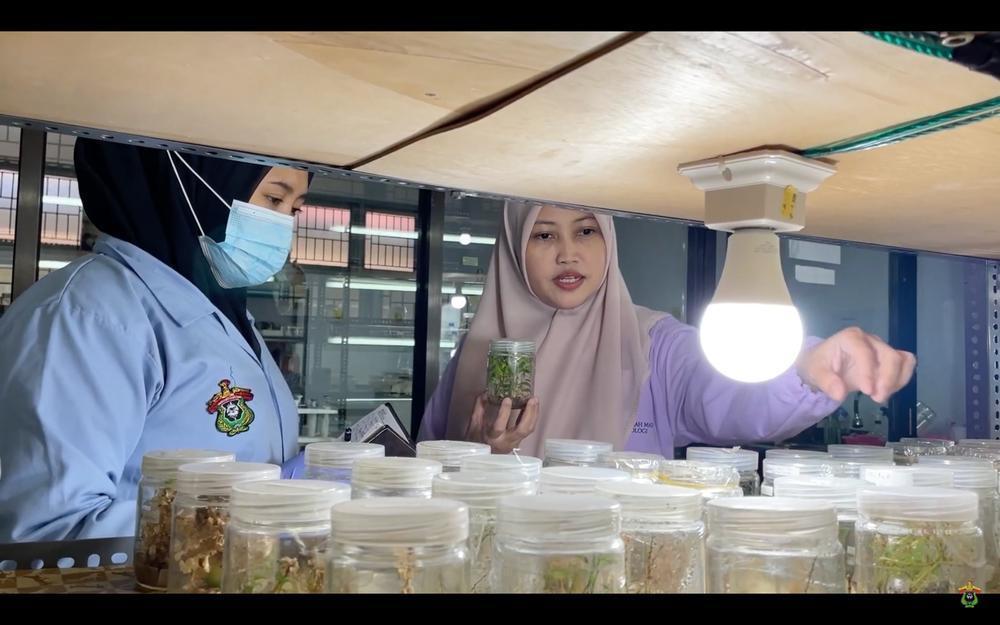 Laboratorium Bioteknologi dan Pemuliaan Pohon